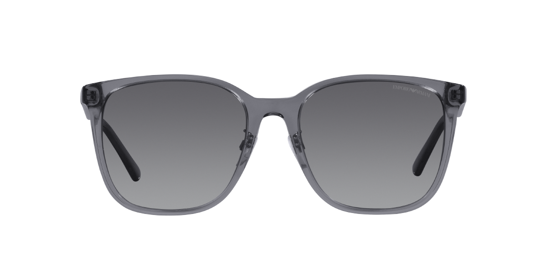 Emporio Armani EA4206D 5029T3