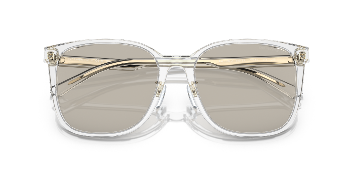 Солнцезащитные очки Emporio Armani EA4206D 5893/3