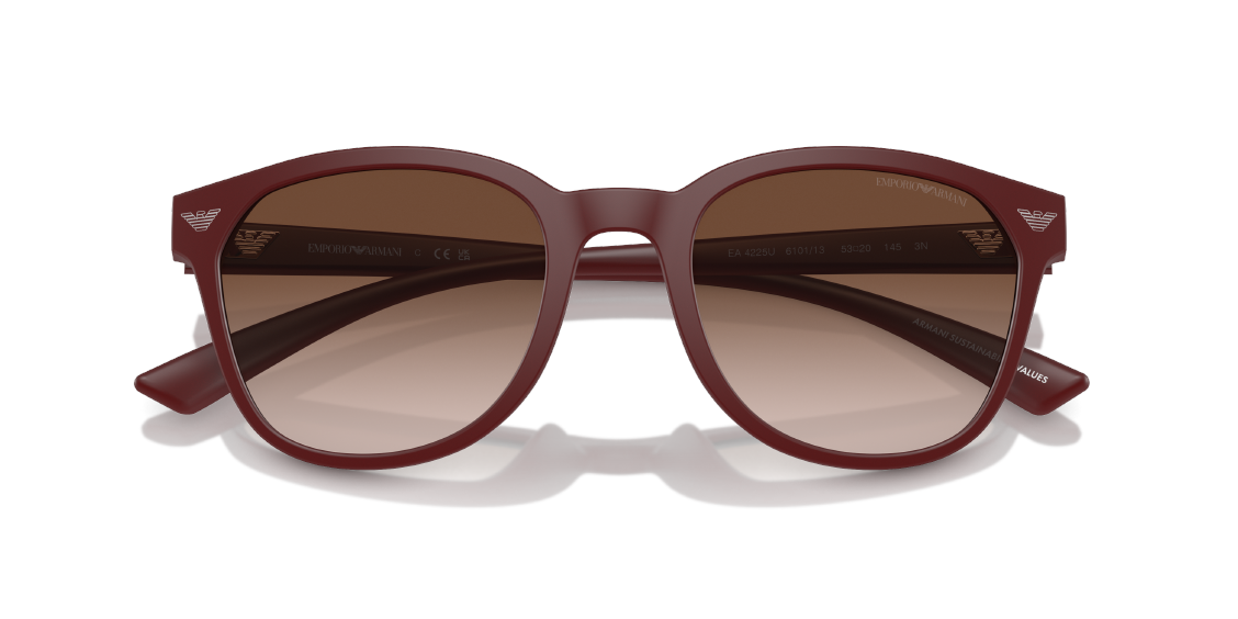 Солнцезащитные очки Emporio Armani EA4225U 610113