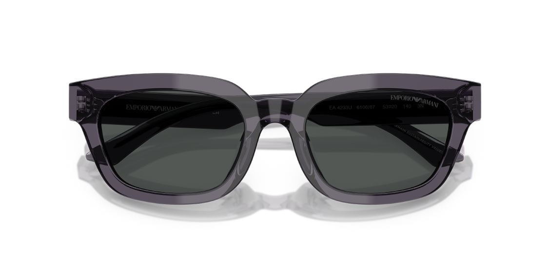 Солнцезащитные очки Emporio Armani EA4233U 610687