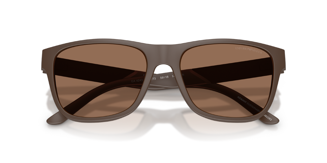 Солнцезащитные очки Emporio Armani EA4243 624373