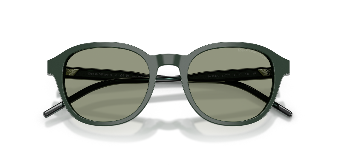 Солнцезащитные очки Emporio Armani EA4247U 6257/2