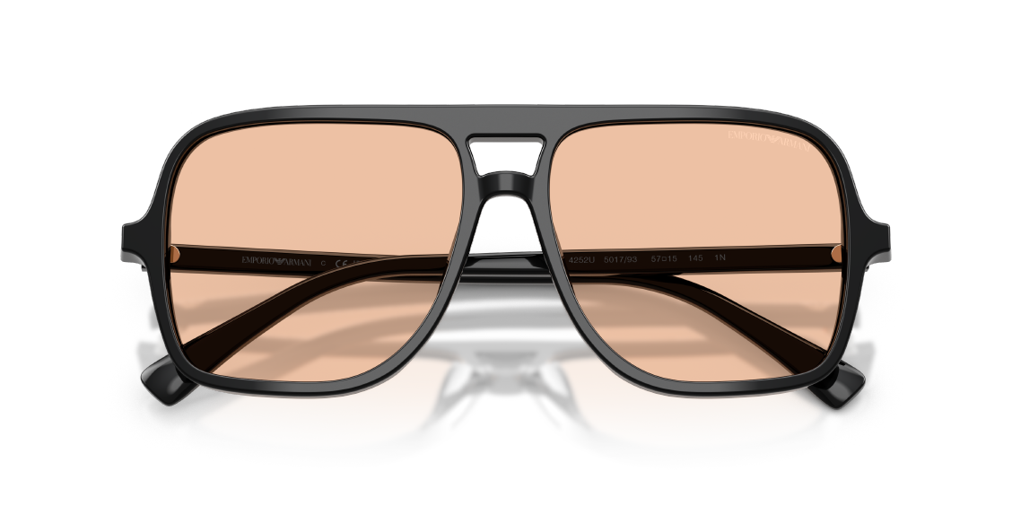 Солнцезащитные очки Emporio Armani EA4252U 501793