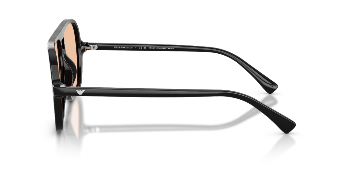 Солнцезащитные очки Emporio Armani EA4252U 501793