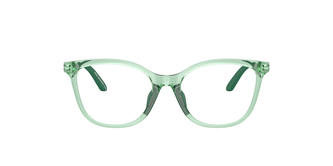 Оптическая оправа Emporio Armani EK3011U 6281