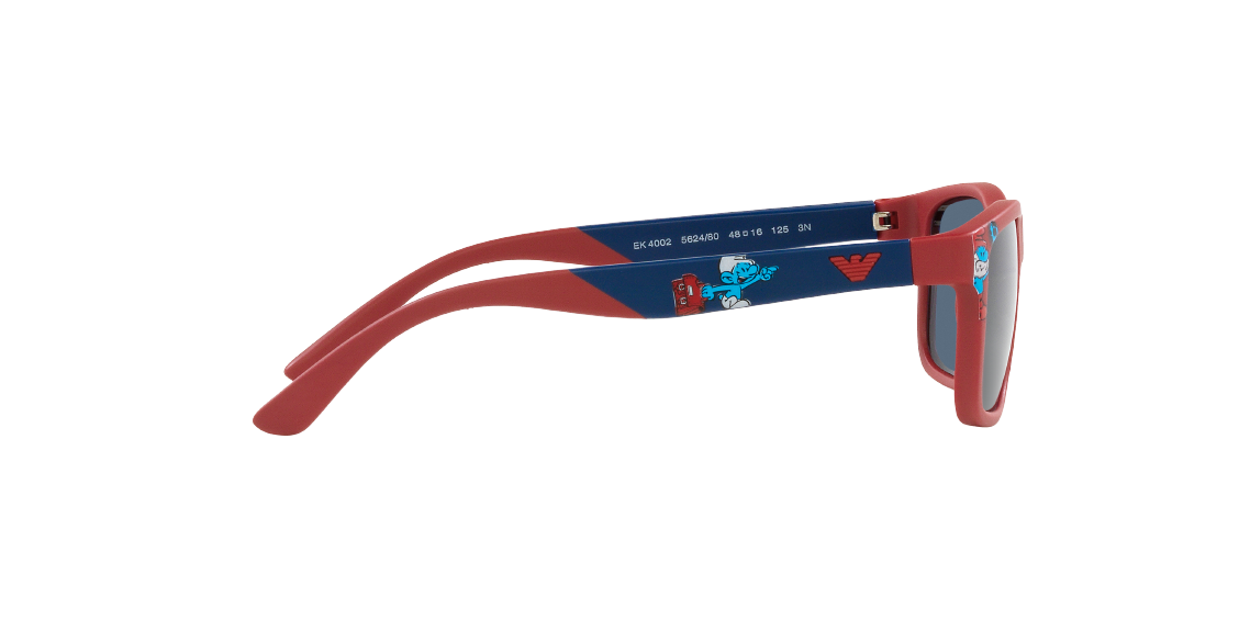 Солнцезащитные очки Emporio Armani EK4002 562480