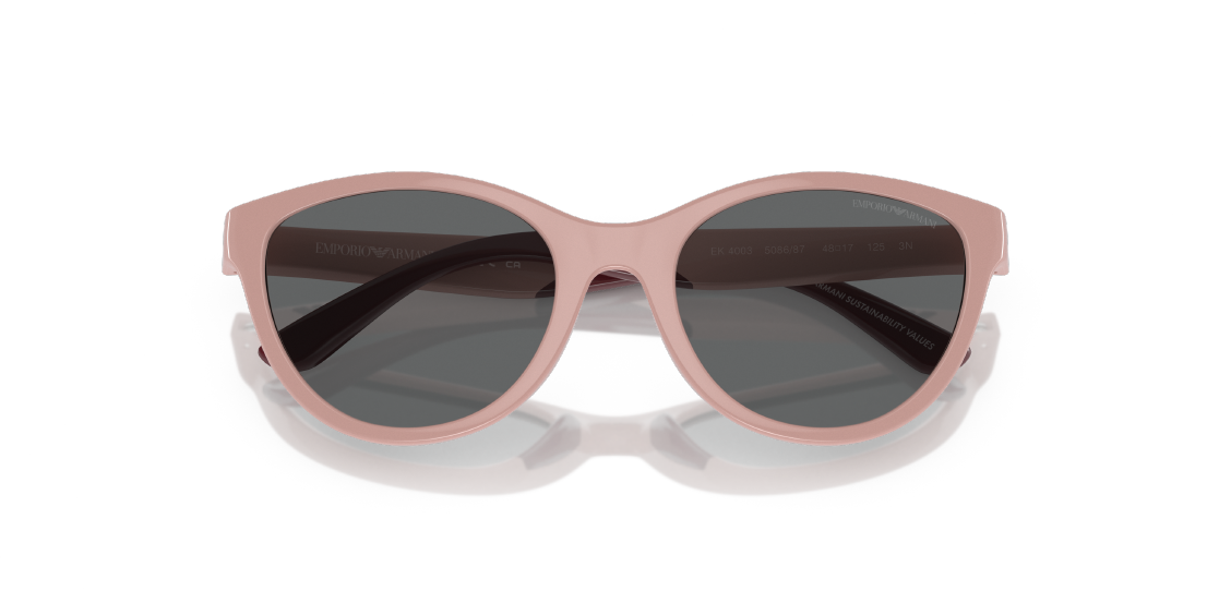 Солнцезащитные очки Emporio Armani EK4003 508687