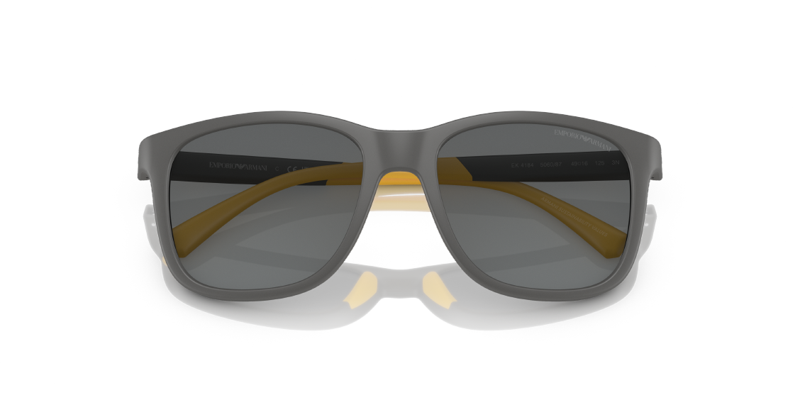 Солнцезащитные очки Emporio Armani EK4184 506087