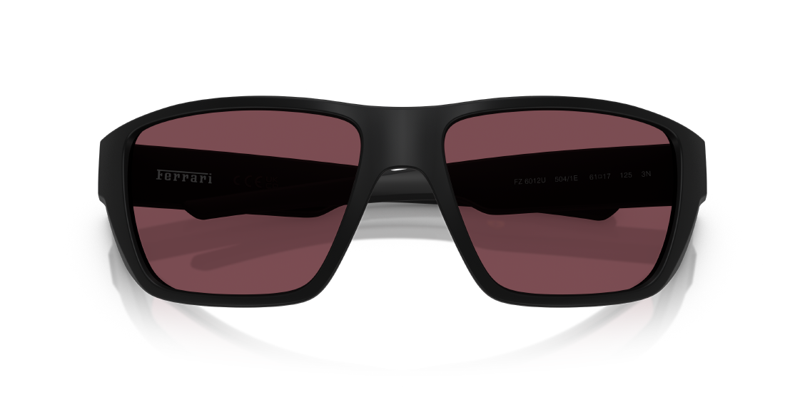 Солнцезащитные очки Scuderia Ferrari FZ6012U 504/1E