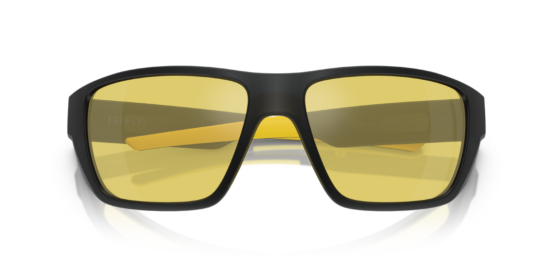 Солнцезащитные очки Scuderia Ferrari FZ6012U 516/V9