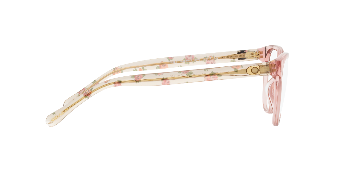 Оптическая оправа Coach HC6202U 5705