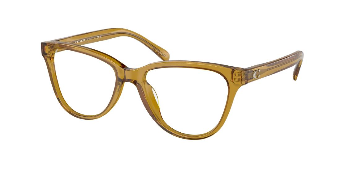 Оптическая оправа Coach HC6202U 5715