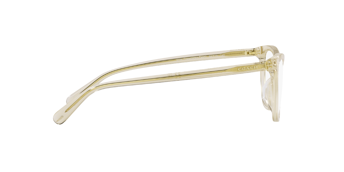 Оптическая оправа Coach HC6206U 5736
