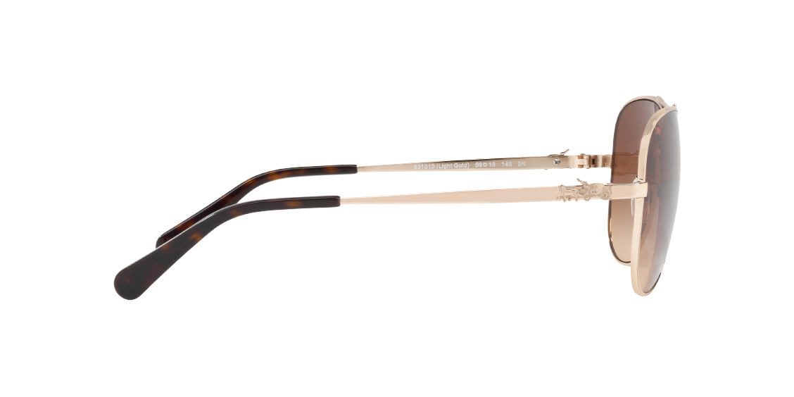 Солнцезащитные очки Coach L1648 HC7074 931013