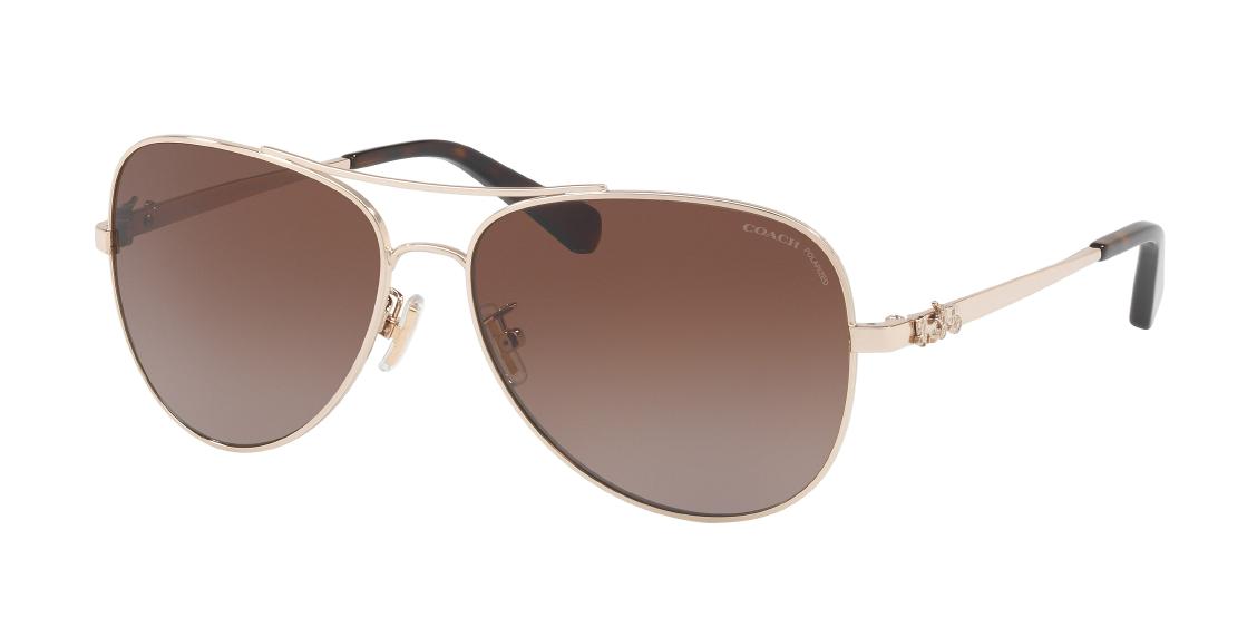 Солнцезащитные очки Coach L1648 HC7074 9310T5