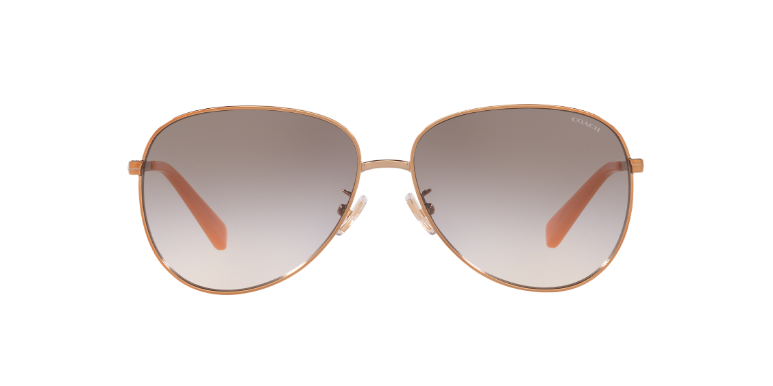 Солнцезащитные очки Coach L1089 HC7094 93313B