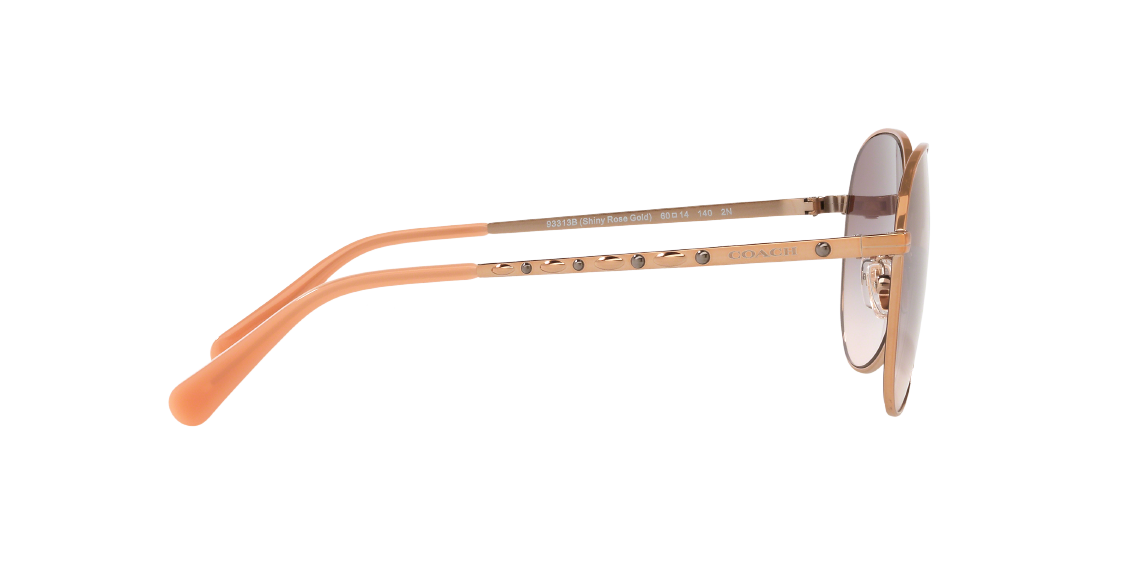 Солнцезащитные очки Coach L1089 HC7094 93313B