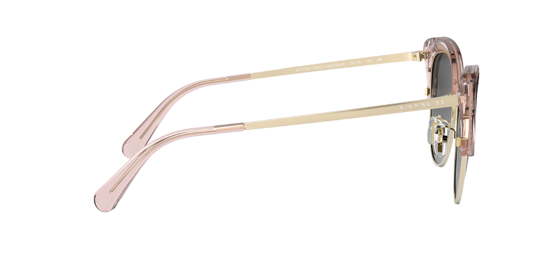 Солнцезащитные очки Coach L1112 HC7110 55758G