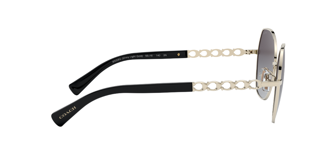 Солнцезащитные очки Coach L1130 HC7112 90058G