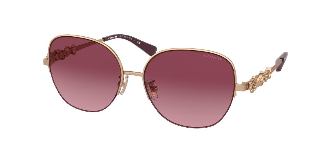 Солнцезащитные очки Coach L1165 HC7118B 93668H