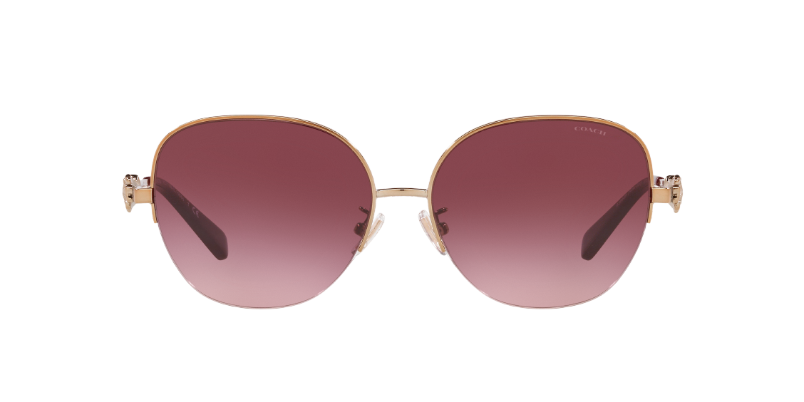 Солнцезащитные очки Coach L1165 HC7118B 93668H