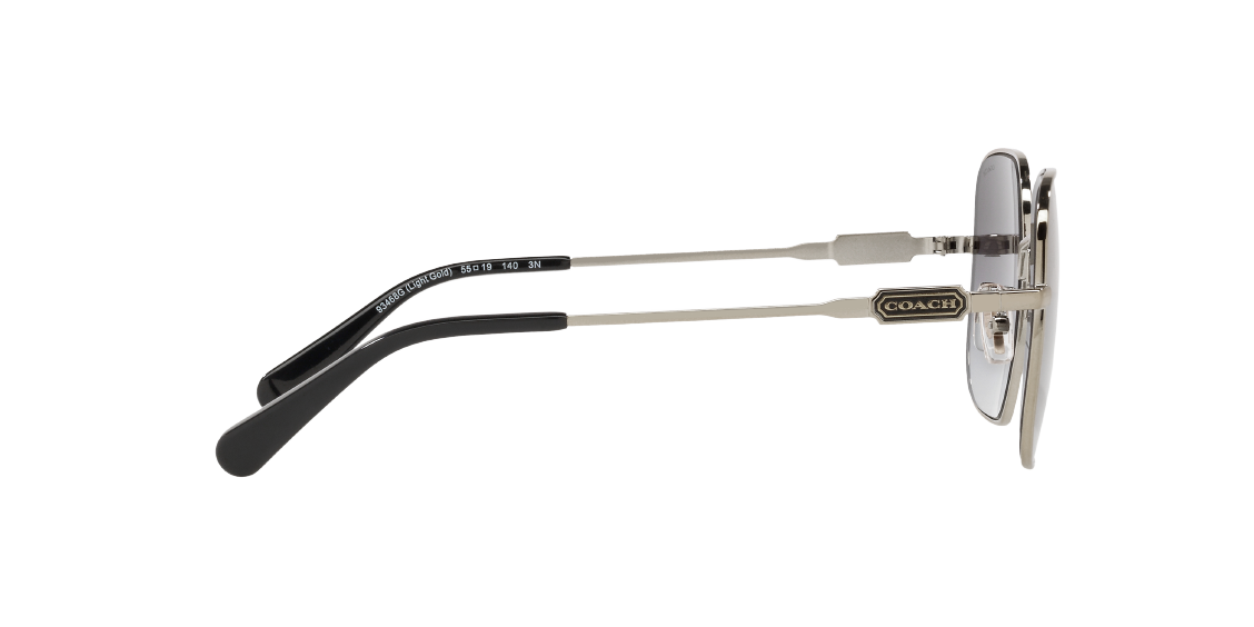 Солнцезащитные очки Coach L1169 HC7120 93468G