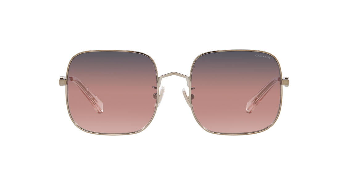 Солнцезащитные очки Coach L1169 HC7120 93678D