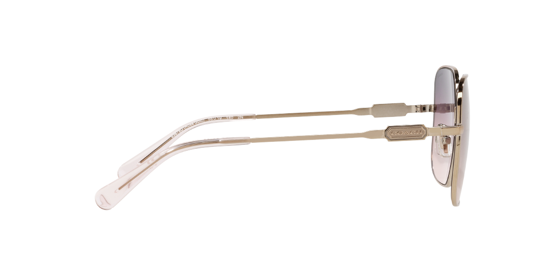 Солнцезащитные очки Coach L1169 HC7120 93678D