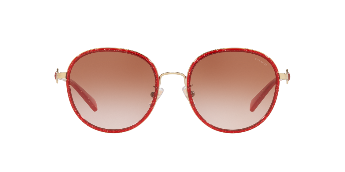 Солнцезащитные очки Coach C6179 HC7129 554413