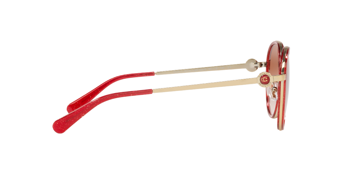 Солнцезащитные очки Coach C6179 HC7129 554413