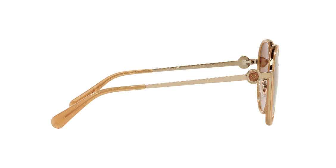 Солнцезащитные очки Coach C6179 HC7129 564713