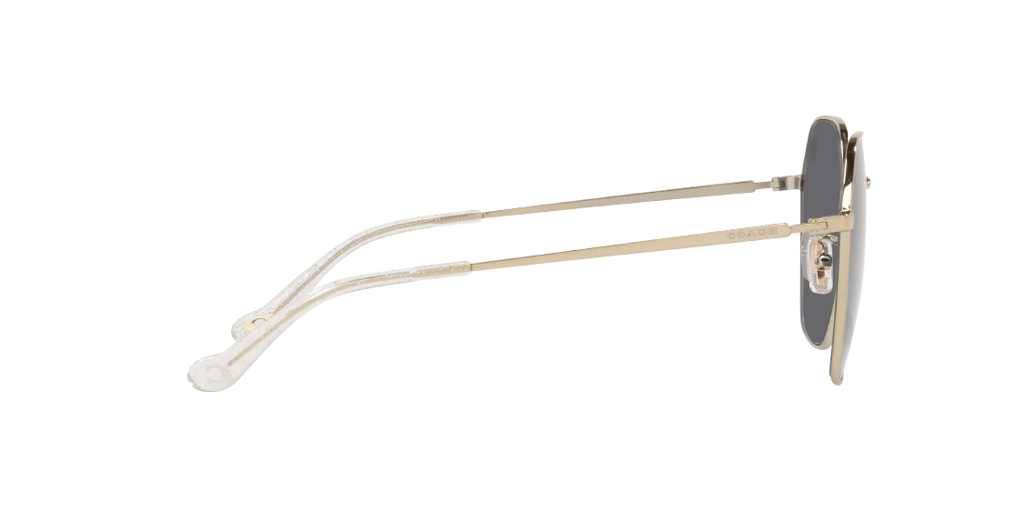 Солнцезащитные очки Coach C7998 HC7132 900581