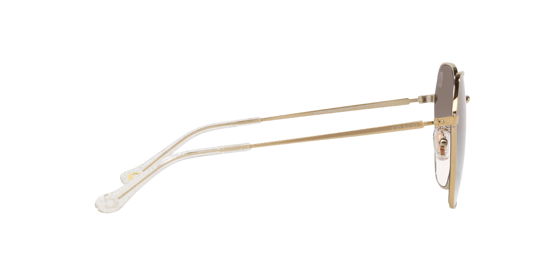 Солнцезащитные очки Coach C7998 HC7132 90058G