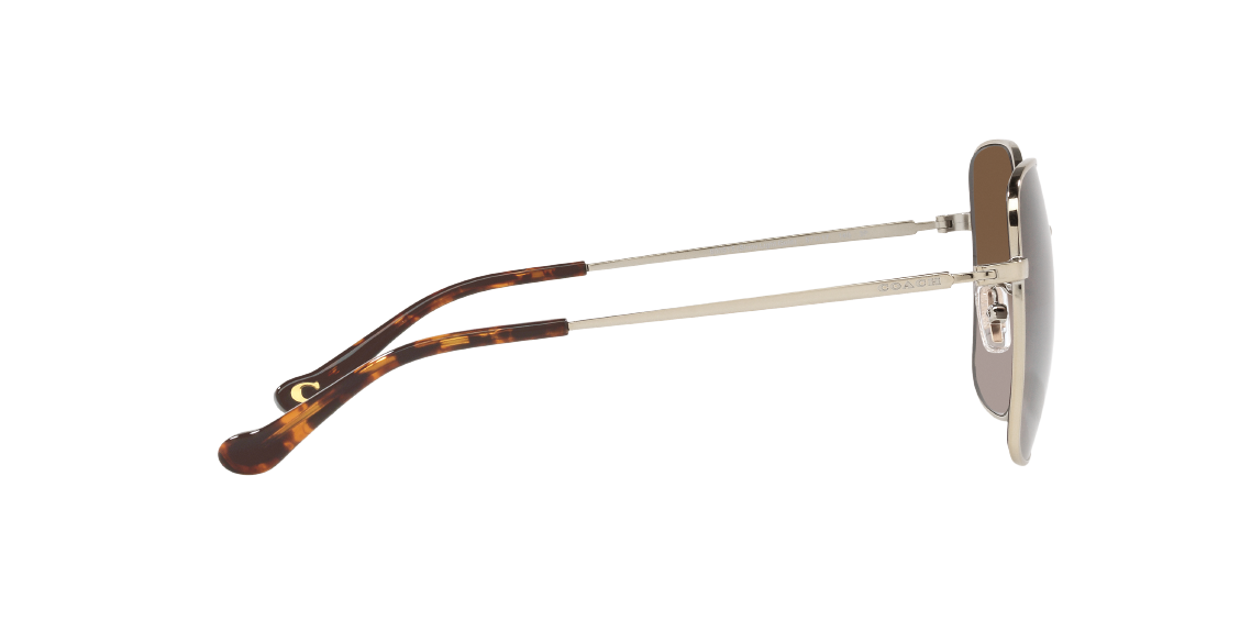 Солнцезащитные очки Coach C7997 HC7133 9005T5