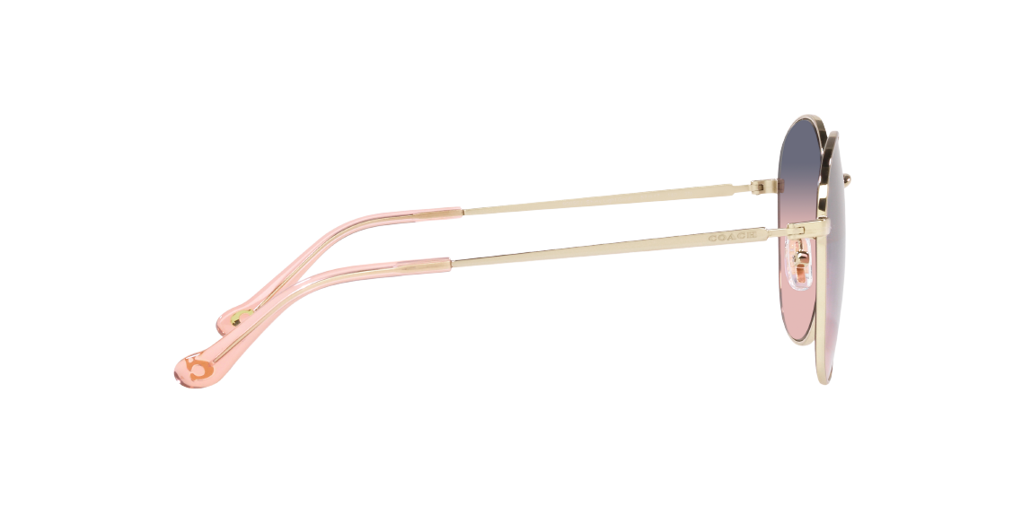 Солнцезащитные очки Coach C7996 HC7134 90050J