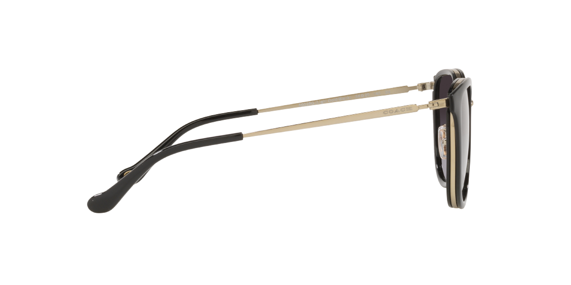 Солнцезащитные очки Coach C7999 HC7135 50028G