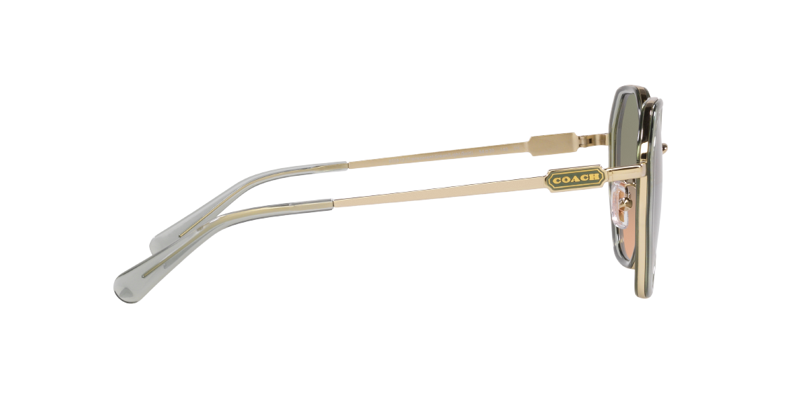 Солнцезащитные очки Coach CD477 HC7141 900513