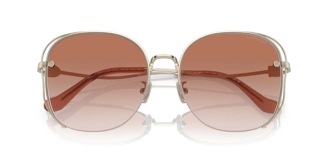 Солнцезащитные очки Coach HC7145BD 900513