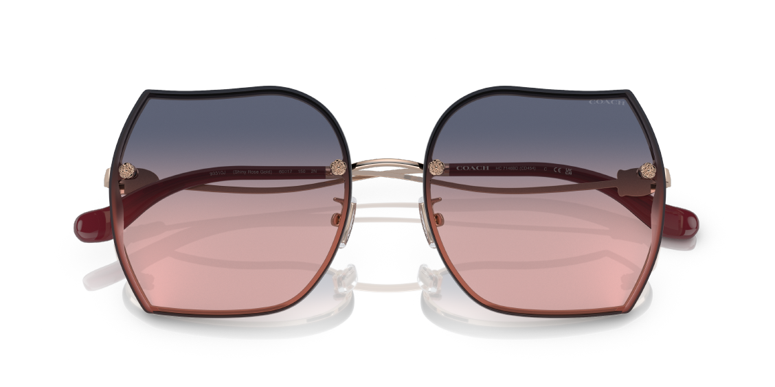 Солнцезащитные очки Coach HC7146BD 93310J