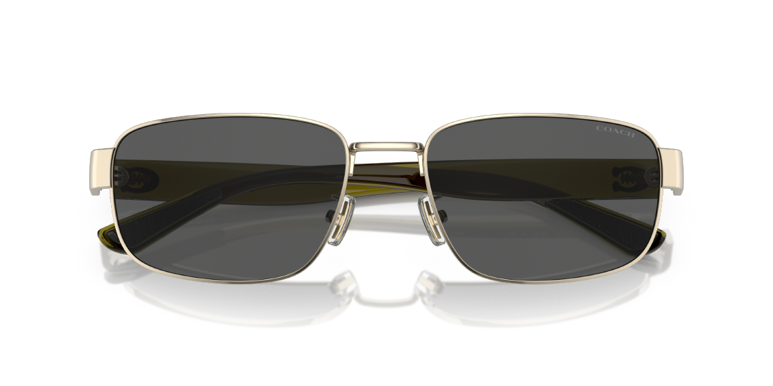 Солнцезащитные очки Coach CH579 HC7149 900587