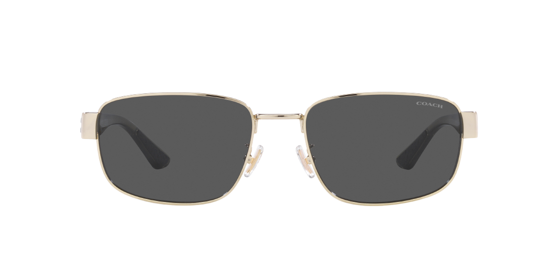Солнцезащитные очки Coach CH579 HC7149 900587