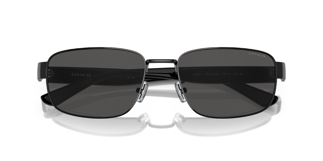 Солнцезащитные очки Coach CH579 HC7149 939387