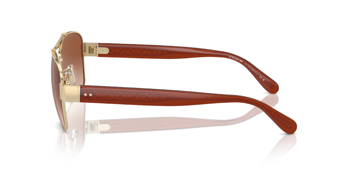 Солнцезащитные очки Coach CR617 HC7161 900513