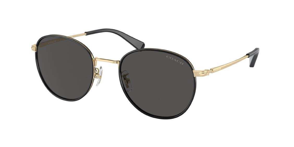 Солнцезащитные очки Coach CR631 HC7163 934687