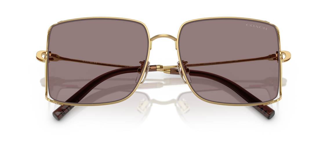 Солнцезащитные очки Coach HC7174D 94417N