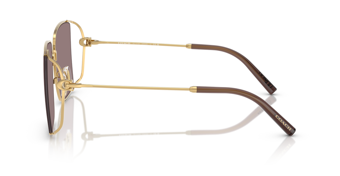 Солнцезащитные очки Coach HC7174D 94417N