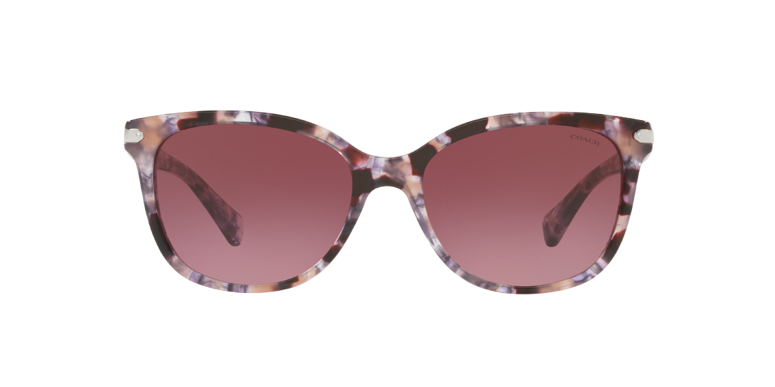 Солнцезащитные очки Coach L109 HC8132 55488H