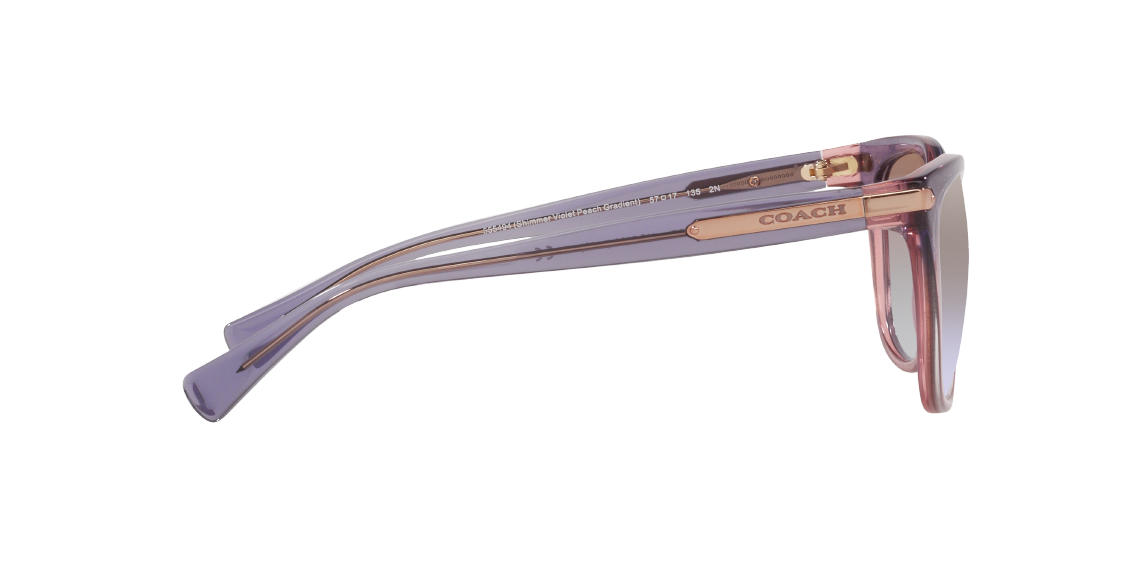 Солнцезащитные очки Coach L109 HC8132 555494