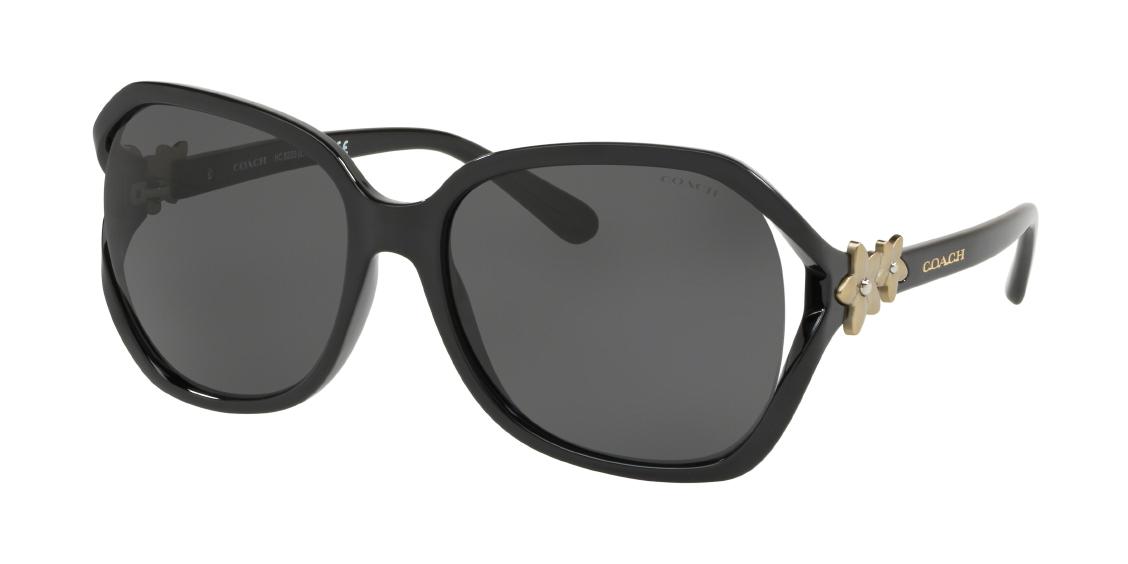 Солнцезащитные очки Coach L1033 HC8233 500287