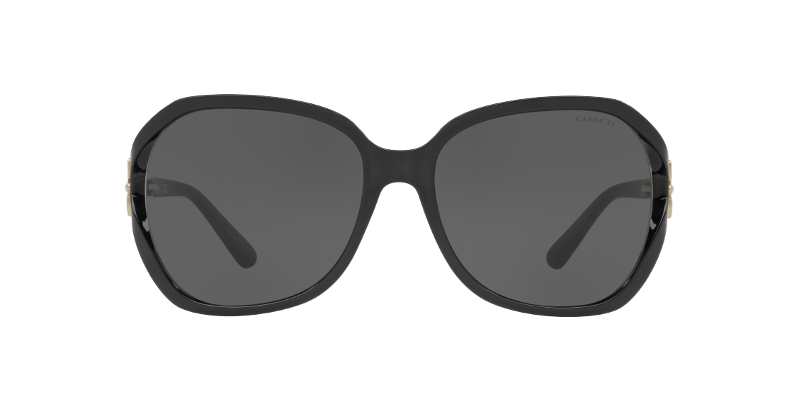 Солнцезащитные очки Coach L1033 HC8233 500287